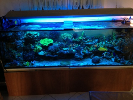 Aquarium2500-600-600